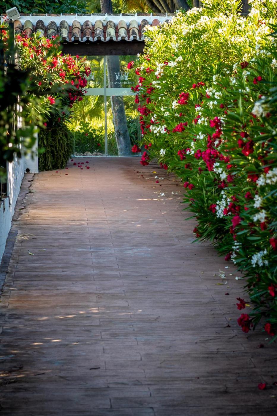 Marbella Banus Suites - Lily Playas Del Duque Banus Beach Apartment Екстериор снимка